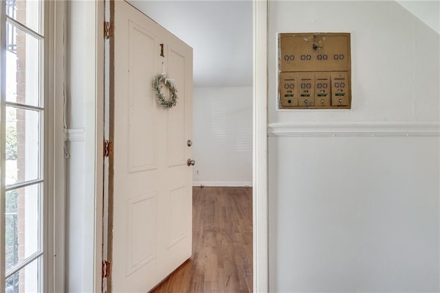hall with wood finished floors and a wealth of natural light
