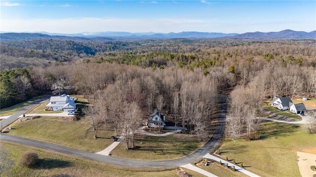 29 Highpoint Ridge Ct, Ellijay, GA 30536 - bird's eye view with a forest view and a mountain view