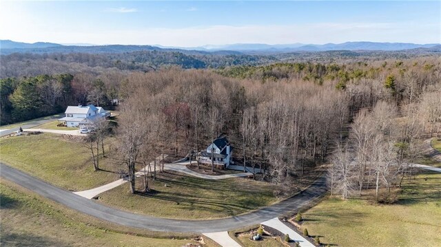 29 Highpoint Ridge Ct, Ellijay, GA 30536 - aerial view featuring a mountain view and a view of trees