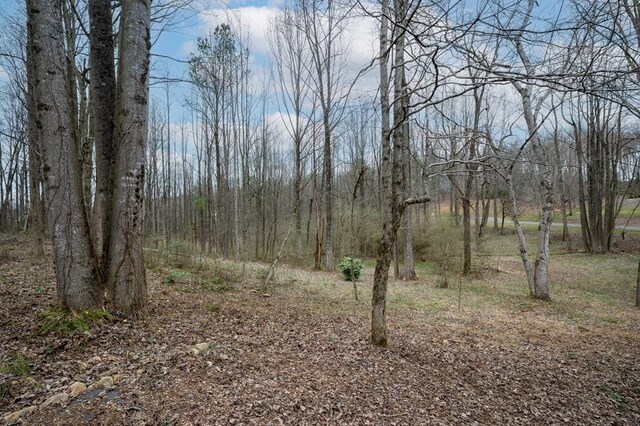 29 Highpoint Ridge Ct, Ellijay, GA 30536 - view of local wilderness featuring a view of trees