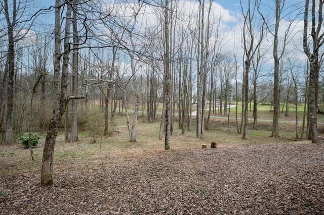 29 Highpoint Ridge Ct, Ellijay, GA 30536 - view of landscape