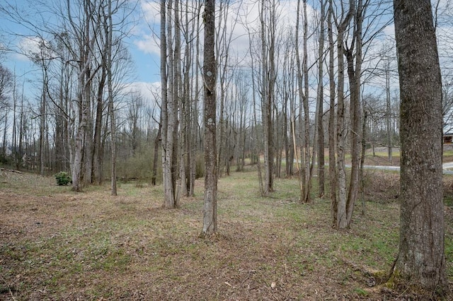 29 Highpoint Ridge Ct, Ellijay, GA 30536 - view of nature