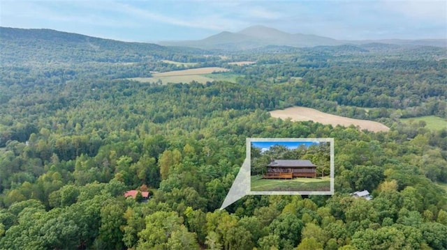 birds eye view of property featuring a mountain view