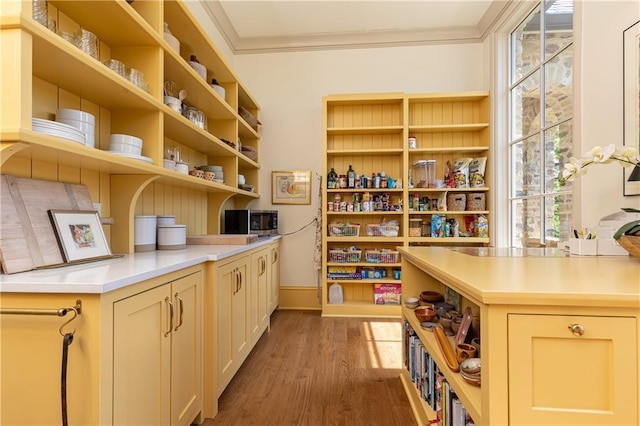 4785 Brinkley Ln, Atlanta, GA 30342 - view of pantry
