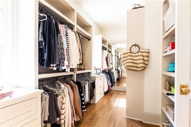 walk in closet with light wood-style flooring