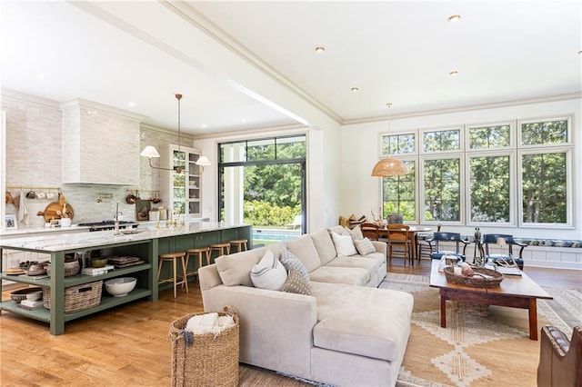 living room with crown molding and light wood-style flooring