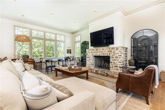 living area with ornamental molding, a fireplace with raised hearth, and wood finished floors
