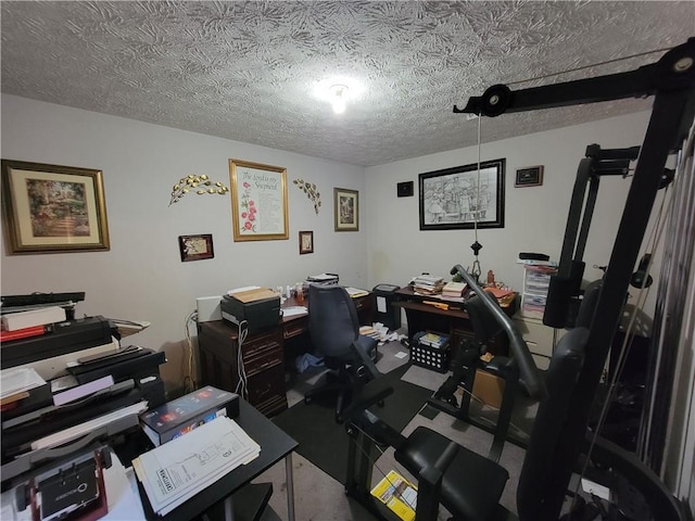 3723 Raiders Ridge Dr, Lithonia, GA 30038 - home office with a textured ceiling and carpet floors