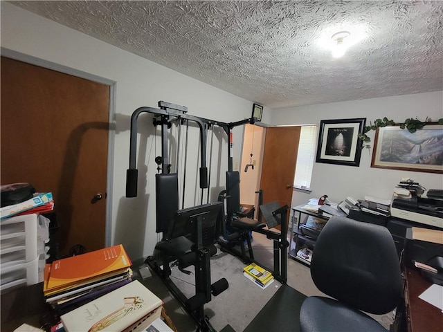 3723 Raiders Ridge Dr, Lithonia, GA 30038 - workout room featuring a textured ceiling