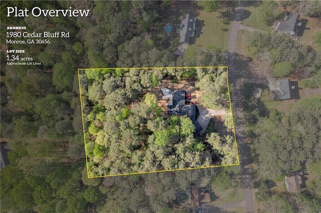 bird's eye view