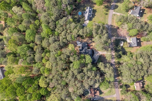 bird's eye view