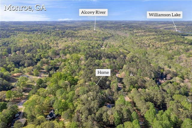 aerial view with a view of trees