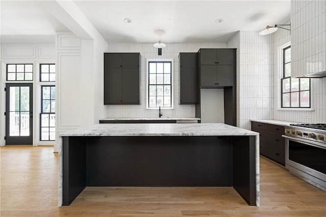 kitchen featuring sink, light hardwood / wood-style floors, a center island, and high end stainless steel range