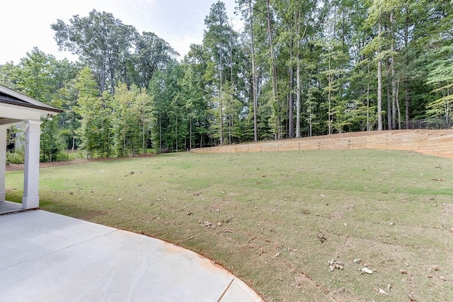 view of yard with a patio area