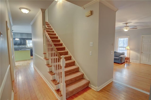 stairs featuring wood-type flooring, ornamental molding, and ceiling fan