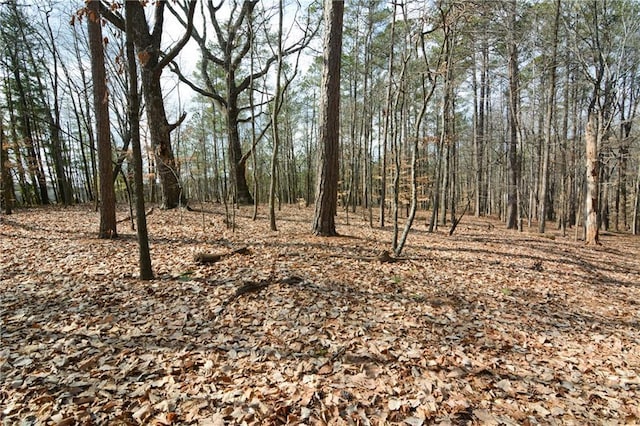 view of landscape