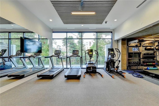 exercise room with a healthy amount of sunlight, expansive windows, and carpet floors