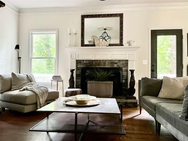 8525 Anchor On Lanier Ct, Gainesville, GA 30506 - living area with dark wood-style flooring, ornamental molding, and a stone fireplace