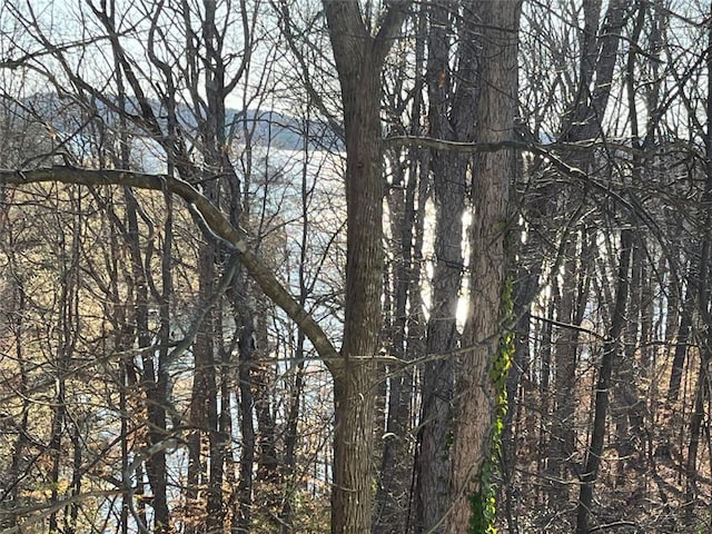 8525 Anchor On Lanier Ct, Gainesville, GA 30506 - view of wooded area