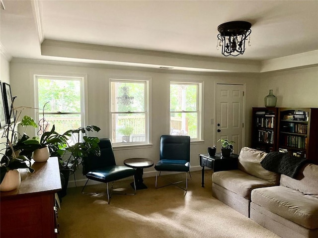 8525 Anchor On Lanier Ct, Gainesville, GA 30506 - living area with crown molding, carpet floors, baseboards, and a raised ceiling
