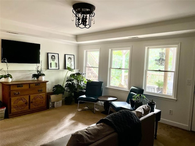 8525 Anchor On Lanier Ct, Gainesville, GA 30506 - carpeted living area with crown molding and a raised ceiling