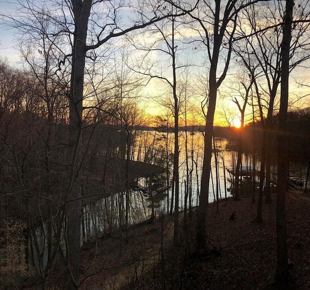 8525 Anchor On Lanier Ct, Gainesville, GA 30506 - water view