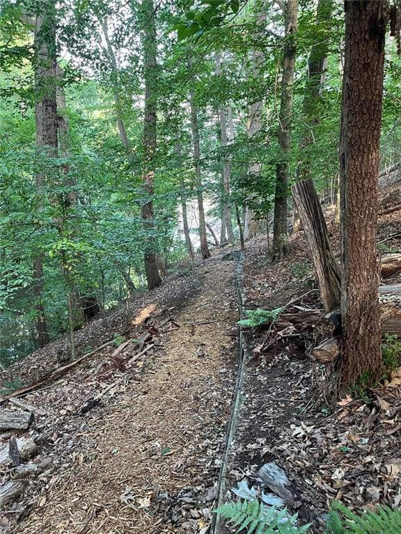 8525 Anchor On Lanier Ct, Gainesville, GA 30506 - view of nature