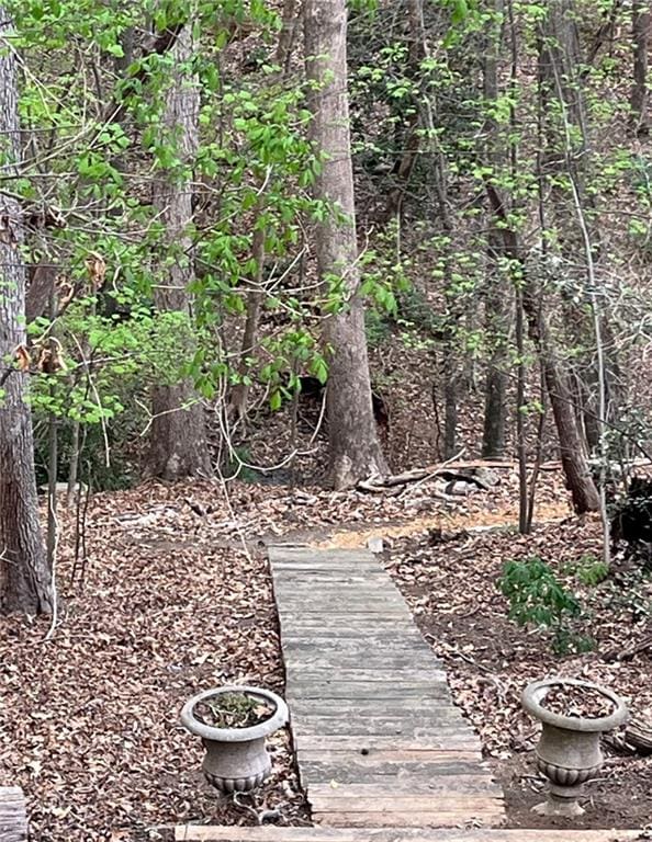 8525 Anchor On Lanier Ct, Gainesville, GA 30506 - view of yard