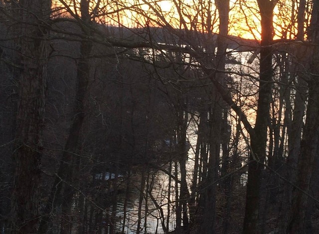 8525 Anchor On Lanier Ct, Gainesville, GA 30506 - water view with a forest