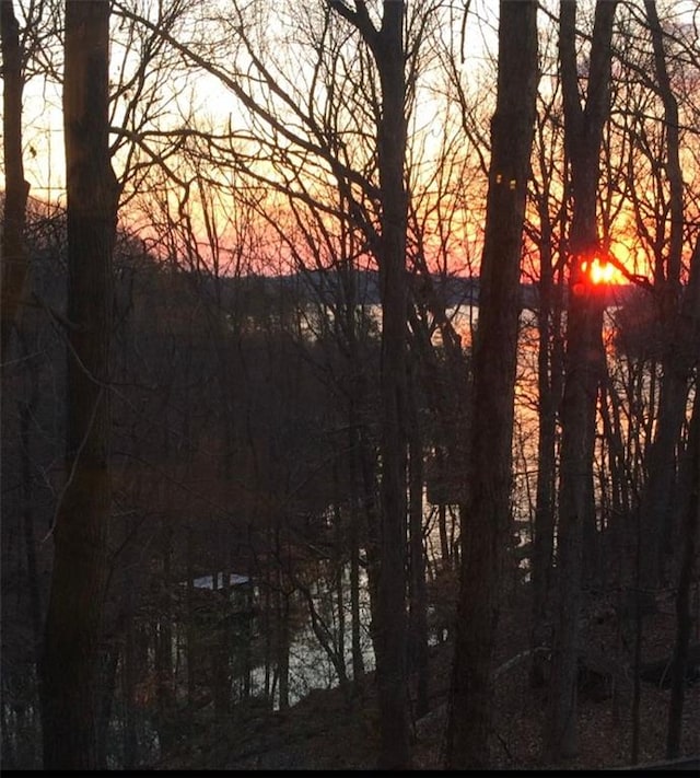 8525 Anchor On Lanier Ct, Gainesville, GA 30506 - water view featuring a heavily wooded area