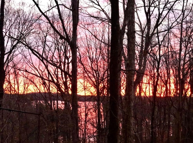 8525 Anchor On Lanier Ct, Gainesville, GA 30506 - water view