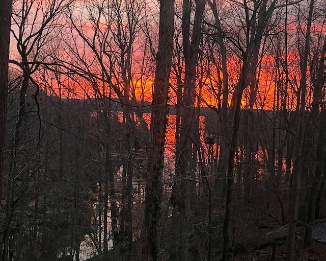 8525 Anchor On Lanier Ct, Gainesville, GA 30506 - water view featuring a forest