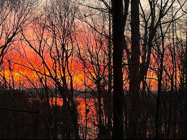 8525 Anchor On Lanier Ct, Gainesville, GA 30506 - water view