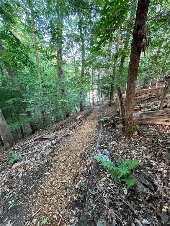 8525 Anchor On Lanier Ct, Gainesville, GA 30506 - view of undeveloped land