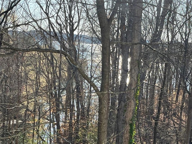 8525 Anchor On Lanier Ct, Gainesville, GA 30506 - water view with a forest