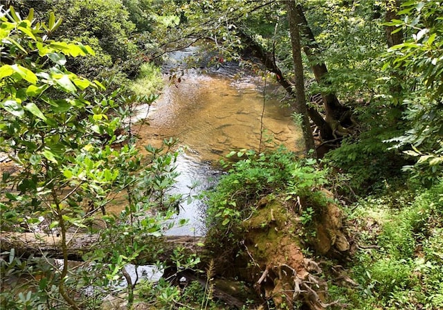 view of landscape featuring a water view