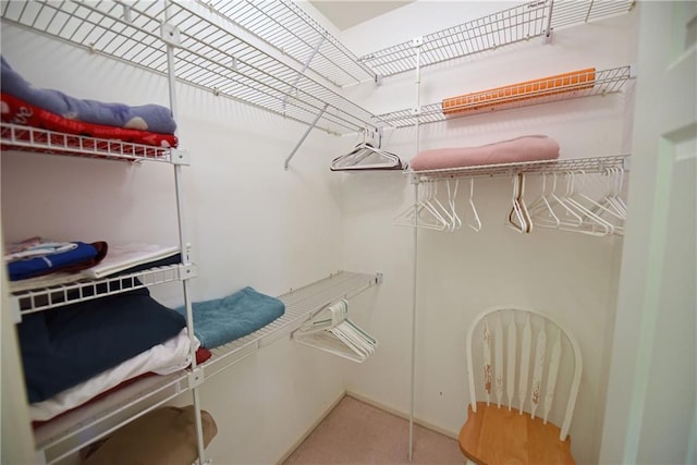 walk in closet featuring carpet flooring