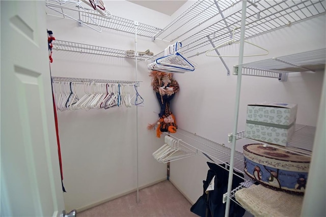 spacious closet featuring carpet floors