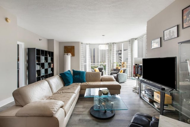 living room featuring a wall of windows, a textured ceiling, baseboards, and wood finished floors