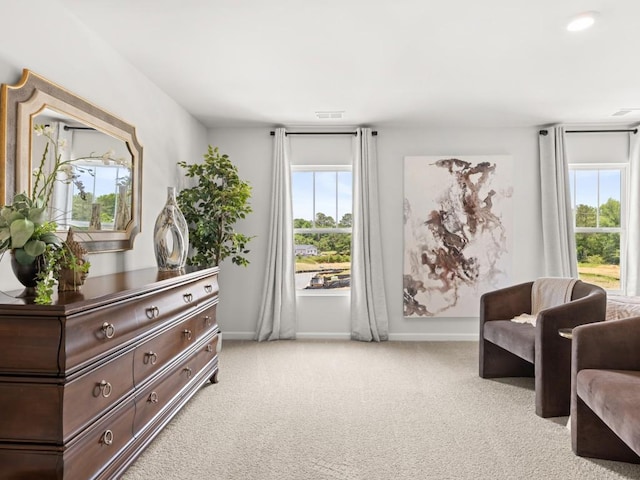 414 Oak View Ln, Dallas, GA 30157 - sitting room featuring plenty of natural light and light colored carpet