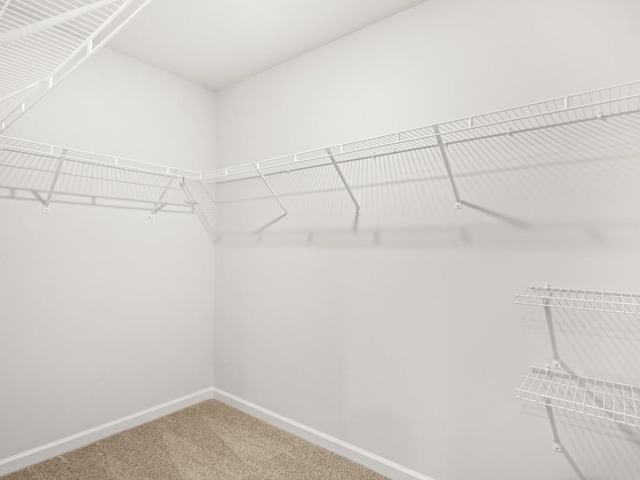 414 Oak View Ln, Dallas, GA 30157 - spacious closet with carpet flooring
