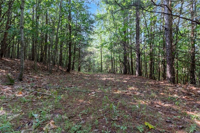 124 Cypress Dr, Alto, GA 30510