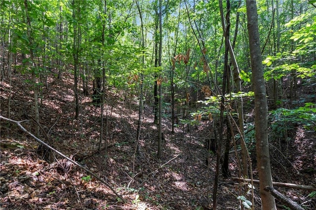 124 Cypress Dr, Alto, GA 30510
