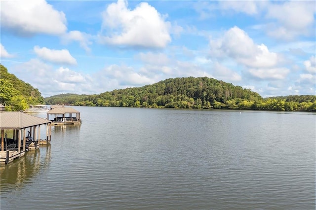 1132 N Edgewater Trl, Toccoa, GA 30577 - dock featuring a view of trees, boat lift, and a water view