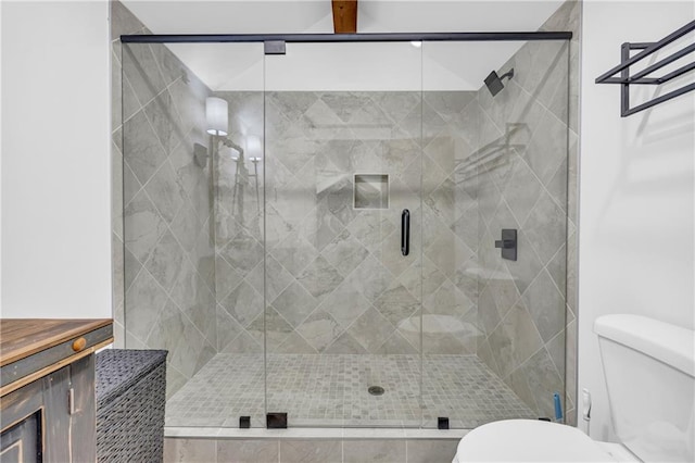1132 N Edgewater Trl, Toccoa, GA 30577 - bathroom featuring toilet and a shower stall