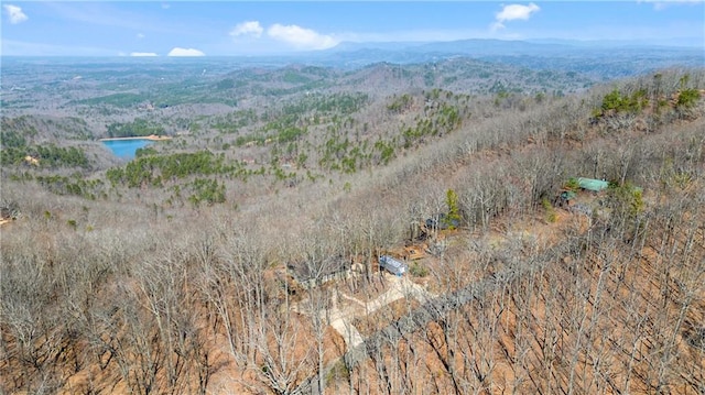 birds eye view of property featuring a water and mountain view