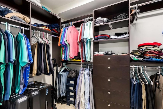 200 River Vista Dr Unit 426, Atlanta, GA 30339 - view of walk in closet