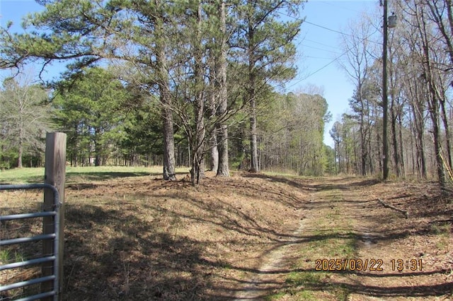 8740 Atlanta Newnan Rd, Chattahoochee Hills, GA 30268 - view of yard