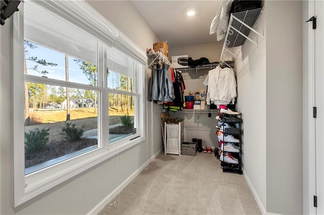 walk in closet with carpet