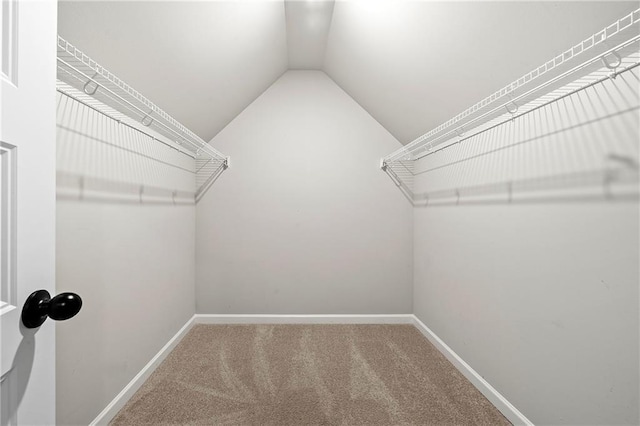 walk in closet with lofted ceiling and carpet flooring